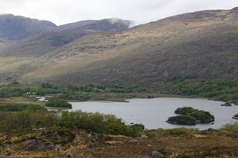 Countryside Ireland 11.jpg